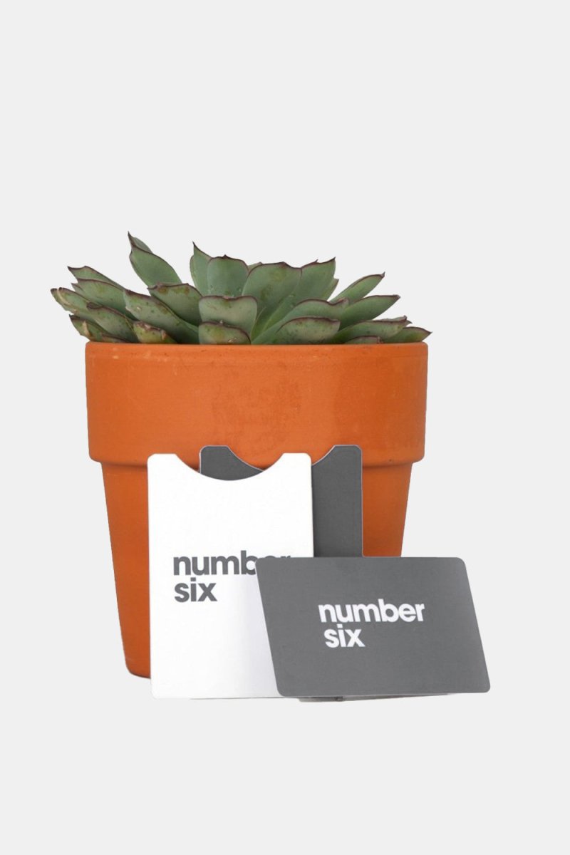 Purchase a Number Six Gift Card