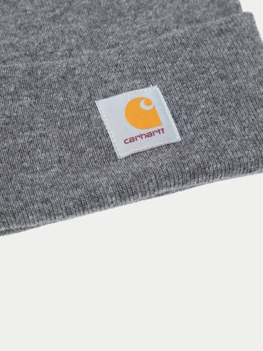 Carhartt WIP Watch Hat (Dark Grey) | Hats